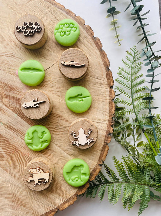 Frog Life Cycle Oak Stamps