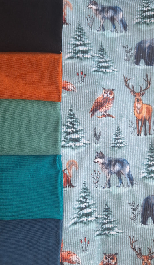 One Metre Challenge | Winter Animals | Winter