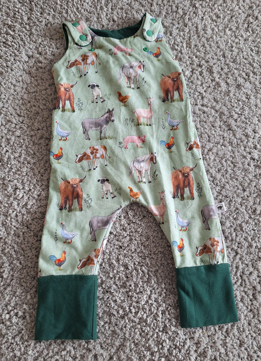 EUC 3-12m GWM Romper