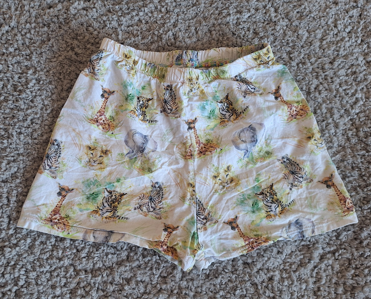 EUC 4-5y Summer Shorts