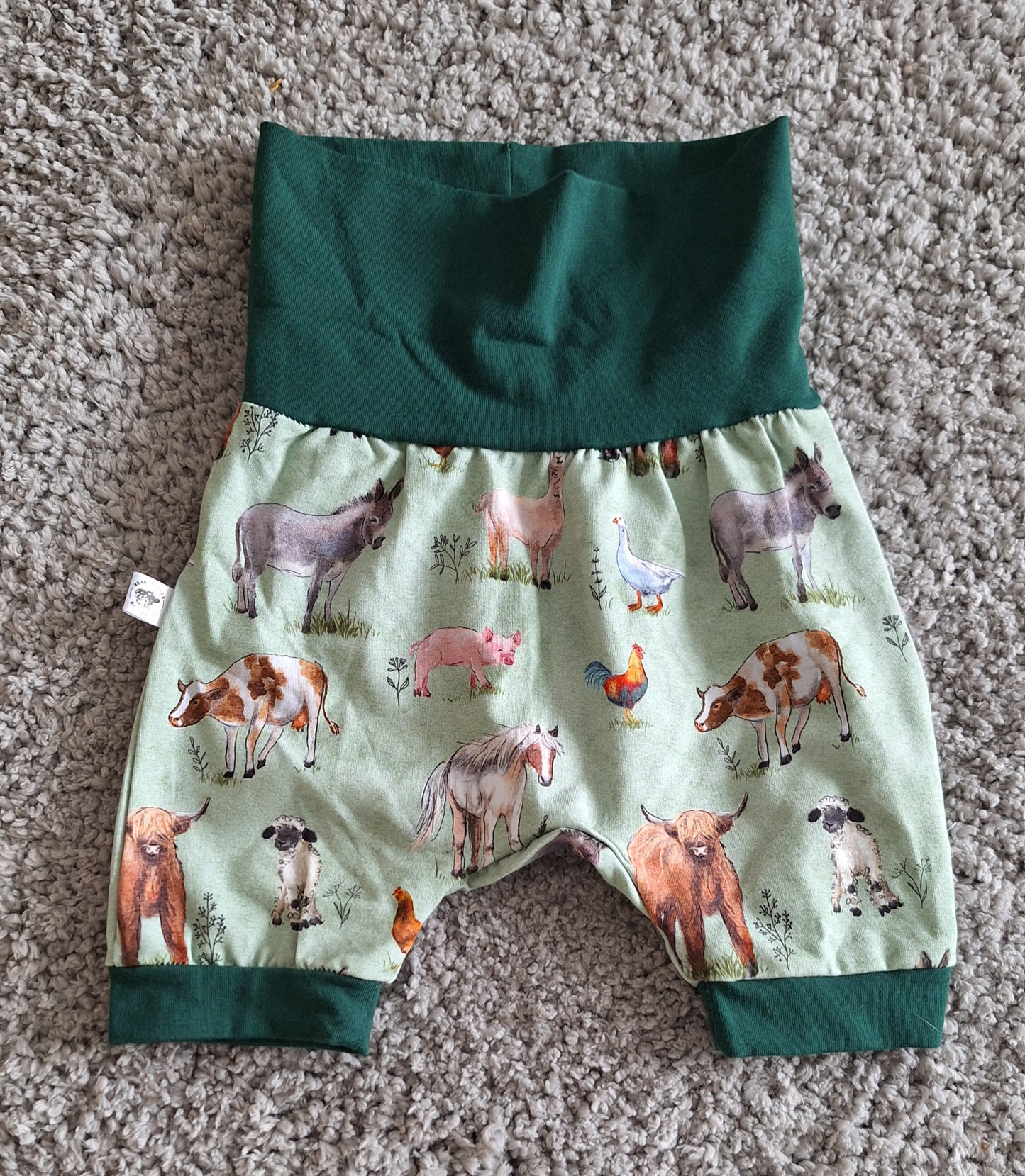 EUC 3-12m GWM Shorts