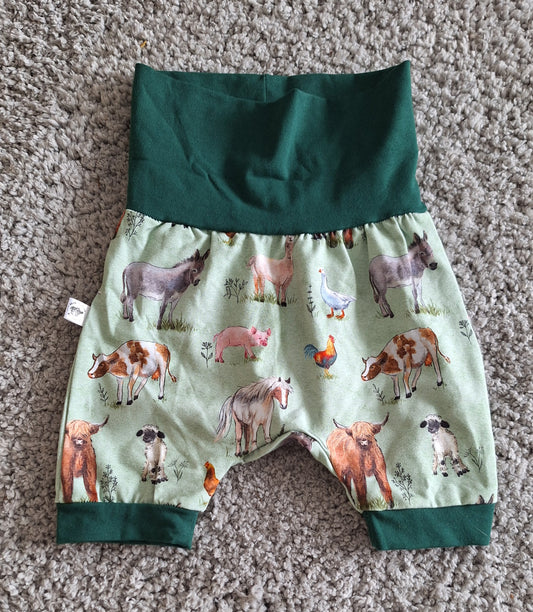 EUC 3-12m GWM Shorts
