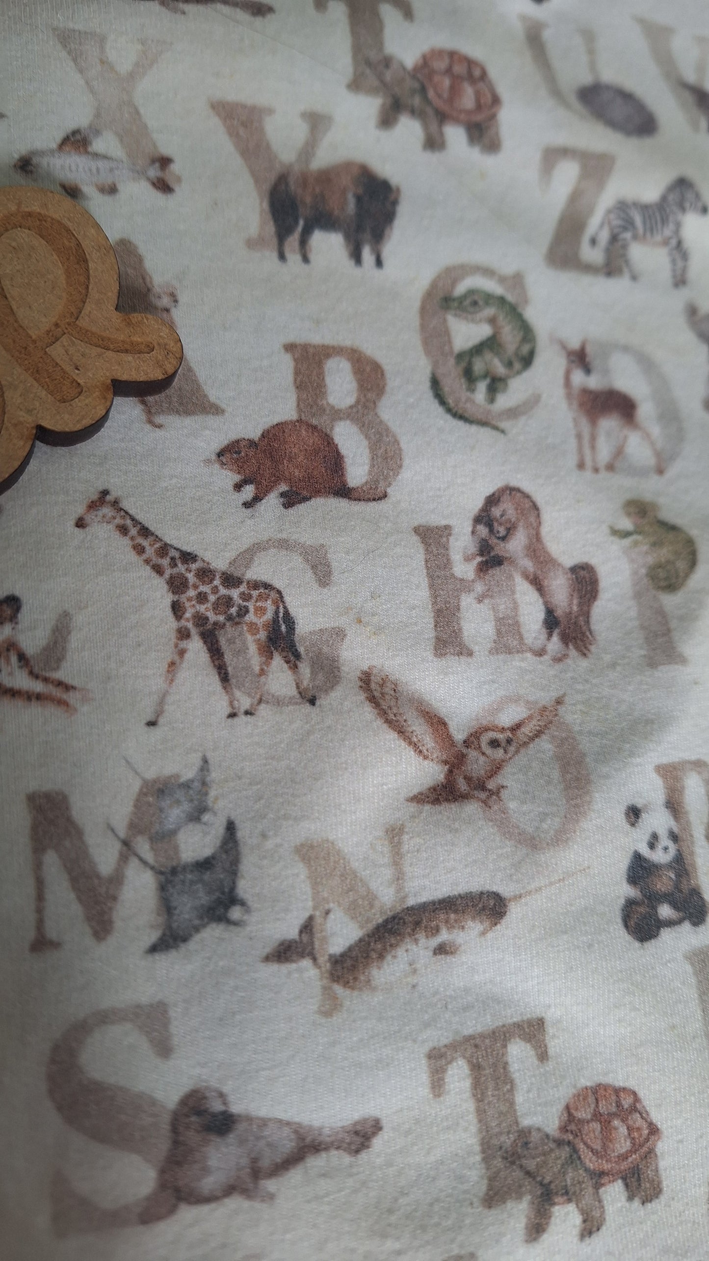 GUC 18-24m Tee - BCR Handmade Organic Clothing