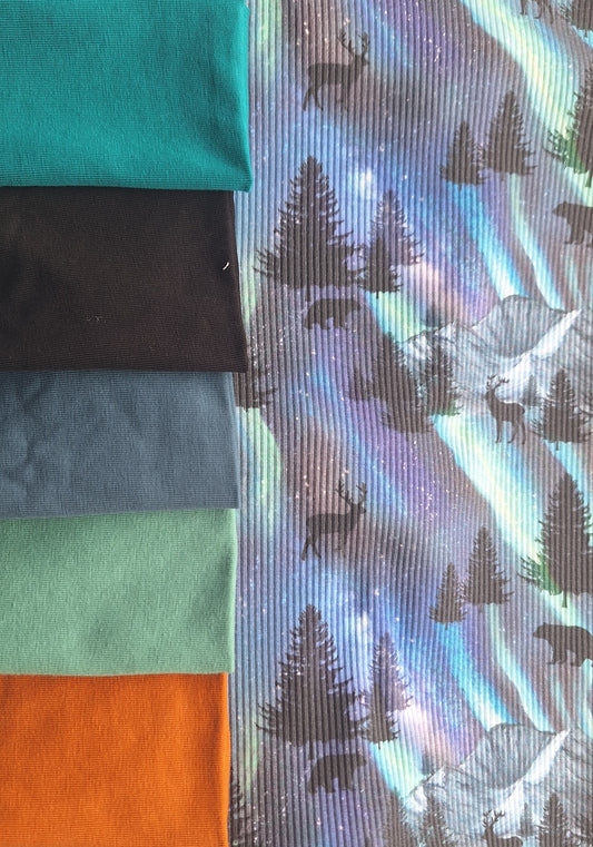 One Metre Challenge | Aurora Borealis | Winter