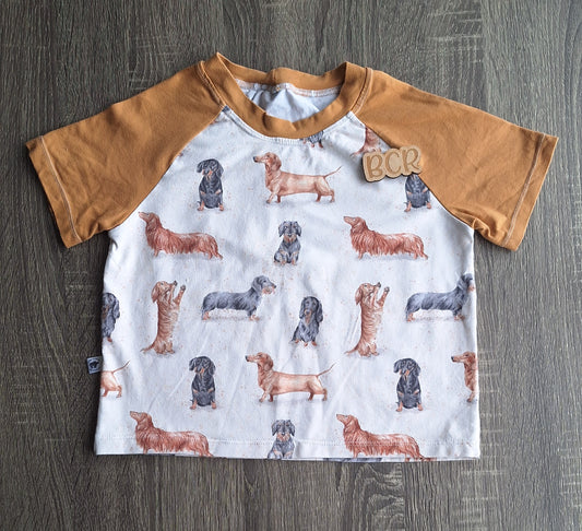 EUC 4-5y Raglan Tee